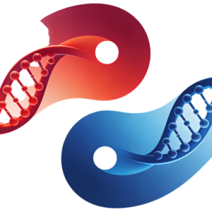 信息基因论指导下的价值共生：阳核阴脉共振体系